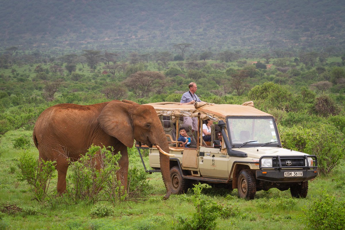 elephantbedroomcampsamburu